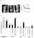 Fig. 06 - INJECTION FORMULATION COMPOSITION CONTAINING MESENCHYMAL STEM CELL-HYDROGEL AND METHOD FOR PREPARING, FREEZING AND DEFROSTING SAME