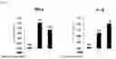 Fig. 07 - INJECTION FORMULATION COMPOSITION CONTAINING MESENCHYMAL STEM CELL-HYDROGEL AND METHOD FOR PREPARING, FREEZING AND DEFROSTING SAME
