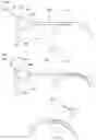 Fig. 05 - COMPOSITIONS AND METHODS FOR SUSTAINED DRUG RELEASE FROM AN INJECTABLE HYDROGEL