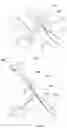 Fig. 06 - COMPOSITIONS AND METHODS FOR SUSTAINED DRUG RELEASE FROM AN INJECTABLE HYDROGEL