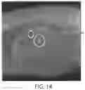 Fig. 15 - SELF-RIGHTING ARTICLES