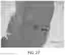 Fig. 26 - SELF-RIGHTING ARTICLES