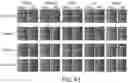 Fig. 42 - SELF-RIGHTING ARTICLES