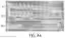 Fig. 43 - SELF-RIGHTING ARTICLES