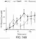 Fig. 79 - SELF-RIGHTING ARTICLES