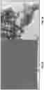 Fig. 04 - STABLE DISPERSIONS OF SILVER NANOPARTICLES AND METHODS OF PREPARATION THEREOF