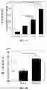 Fig. 03 - NANOPARTICLES FOR DRUG DELIVERY TO BRAIN
