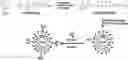 Fig. 01 - POLYMERIC NANOPARTICLES