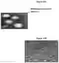 Fig. 19 - POLYMERIC NANOPARTICLES