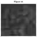 Fig. 20 - POLYMERIC NANOPARTICLES