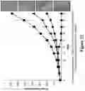 Fig. 31 - POLYMERIC NANOPARTICLES