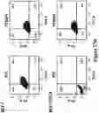 Fig. 37 - POLYMERIC NANOPARTICLES