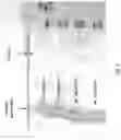 Fig. 05 - DELIVERY SYSTEMS FOR RELEASE OF ACTIVE COMPOUNDS