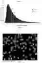 Fig. 04 - DIETARY SUPPLEMENT COMPRISING LUTEIN FOR TELOMERE PROTECTION, AND METHOD FOR PRODUCTION THEREOF