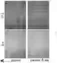 Fig. 04 - Promotion of lymphatic function