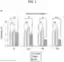 Fig. 06 - Sensitization of cancer cells to differentiation therapy with mitochondrial uncoupler niclosamide ethanolamine
