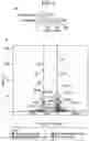 Fig. 10 - Sensitization of cancer cells to differentiation therapy with mitochondrial uncoupler niclosamide ethanolamine
