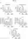 Fig. 21 - Sensitization of cancer cells to differentiation therapy with mitochondrial uncoupler niclosamide ethanolamine