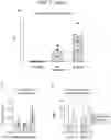 Fig. 25 - Sensitization of cancer cells to differentiation therapy with mitochondrial uncoupler niclosamide ethanolamine