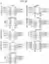 Fig. 40 - Sensitization of cancer cells to differentiation therapy with mitochondrial uncoupler niclosamide ethanolamine