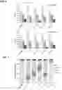 Fig. 06 - DISULFIDE-MASKED PRO-CHELATOR COMPOSITIONS AND METHODS OF USE