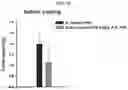 Fig. 15 - Calcium lactate compositions and methods of use