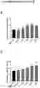 Fig. 01 - DEPSIDE TRIMERIC COMPOUNDS FOR SKELETAL MUSCLE MODULATION