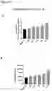 Fig. 04 - DEPSIDE TRIMERIC COMPOUNDS FOR SKELETAL MUSCLE MODULATION