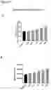 Fig. 05 - DEPSIDE TRIMERIC COMPOUNDS FOR SKELETAL MUSCLE MODULATION