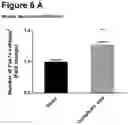 Fig. 07 - DEPSIDE TRIMERIC COMPOUNDS FOR SKELETAL MUSCLE MODULATION