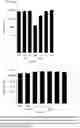 Fig. 06 - COMBINED PREPARATION COMPRISING AN ANTHOCYANIN COMPOSITION AND AN ANTIVIRAL AGENT