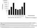 Fig. 07 - COMBINED PREPARATION COMPRISING AN ANTHOCYANIN COMPOSITION AND AN ANTIVIRAL AGENT