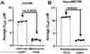 Fig. 01 - METHODS AND COMPOSITIONS RELATING TO INHIBITION OF ALDEHYDE DEHYDROGENASES FOR TREATMENT OF CANCER