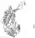 Fig. 08 - METHODS AND COMPOSITIONS RELATING TO INHIBITION OF ALDEHYDE DEHYDROGENASES FOR TREATMENT OF CANCER