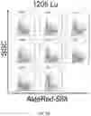 Fig. 19 - METHODS AND COMPOSITIONS RELATING TO INHIBITION OF ALDEHYDE DEHYDROGENASES FOR TREATMENT OF CANCER