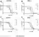 Fig. 25 - METHODS AND COMPOSITIONS RELATING TO INHIBITION OF ALDEHYDE DEHYDROGENASES FOR TREATMENT OF CANCER