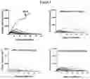 Fig. 06 - Combination of immunotherapies with MDM2 inhibitors