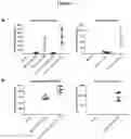 Fig. 10 - Combination of immunotherapies with MDM2 inhibitors