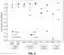 Fig. 08 - PHARMACEUTICAL USE OF CHLOROPHYLLIDE FOR CANCER THERAPY