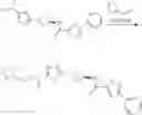 Fig. 113 - METHODS OF TREATING PULMONARY DISEASES AND DISORDERS