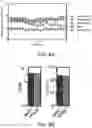 Fig. 16 - Small molecule inhibitors of bacterial efflux pumps and methods of using same