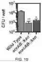 Fig. 19 - Small molecule inhibitors of bacterial efflux pumps and methods of using same