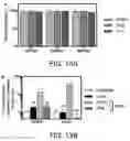 Fig. 25 - Small molecule inhibitors of bacterial efflux pumps and methods of using same