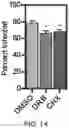 Fig. 26 - Small molecule inhibitors of bacterial efflux pumps and methods of using same