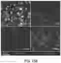 Fig. 28 - Small molecule inhibitors of bacterial efflux pumps and methods of using same