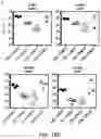 Fig. 32 - Small molecule inhibitors of bacterial efflux pumps and methods of using same