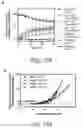 Fig. 33 - Small molecule inhibitors of bacterial efflux pumps and methods of using same