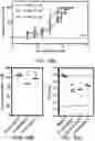 Fig. 35 - Small molecule inhibitors of bacterial efflux pumps and methods of using same