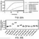 Fig. 40 - Small molecule inhibitors of bacterial efflux pumps and methods of using same