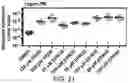 Fig. 41 - Small molecule inhibitors of bacterial efflux pumps and methods of using same